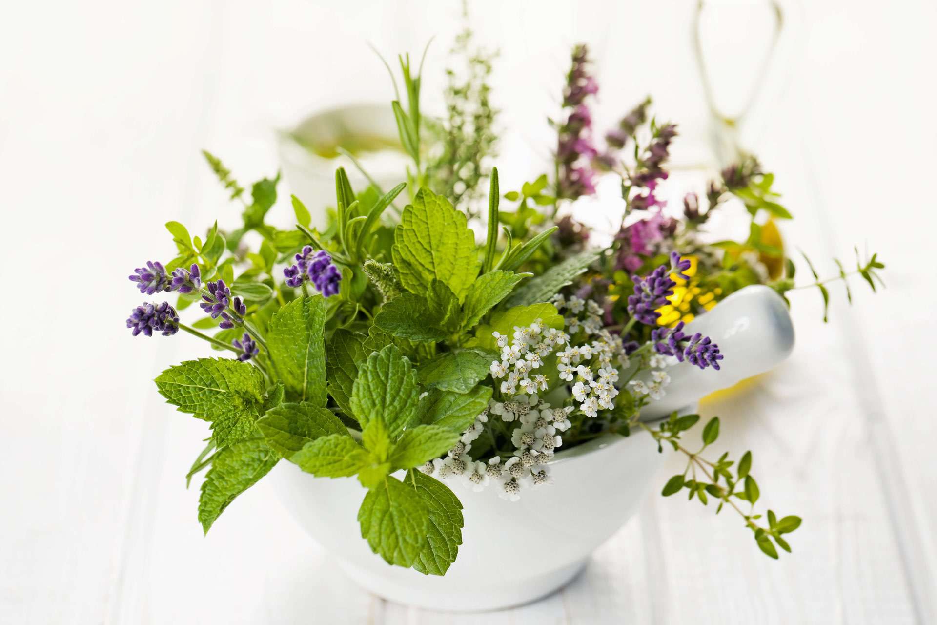 BEH_Pharma_Produktseite_AdobeStock_69395297_web
