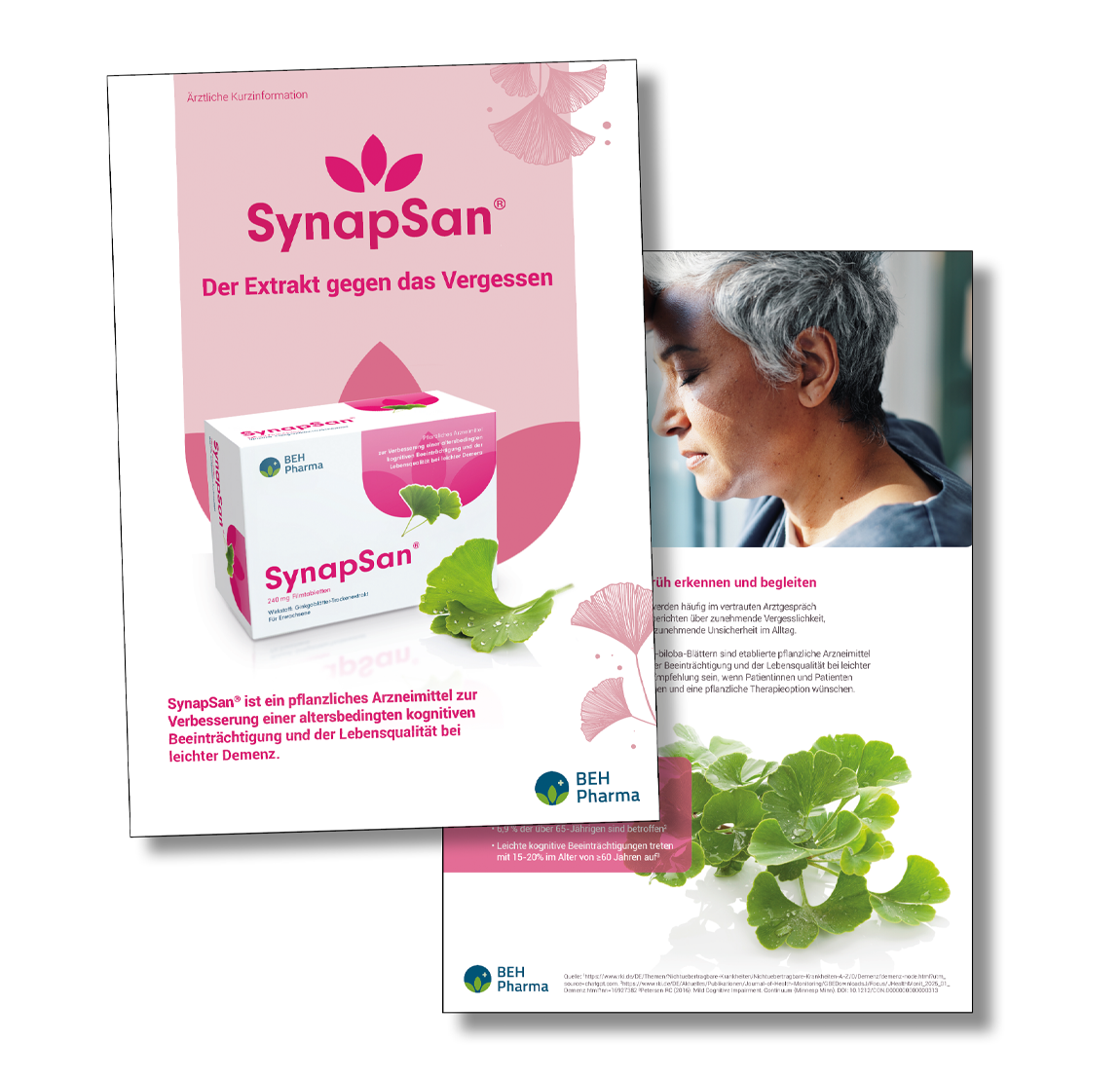 Synapsan_Salesfoler2