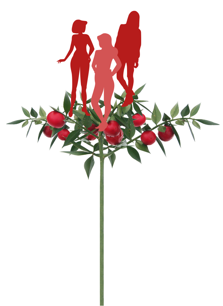 Venox-woman-group