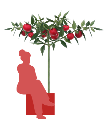 women-sitting-on-the-flower