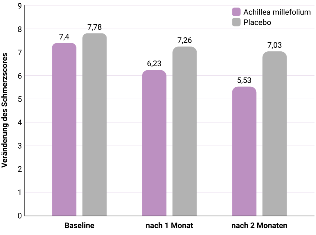 Graphicon