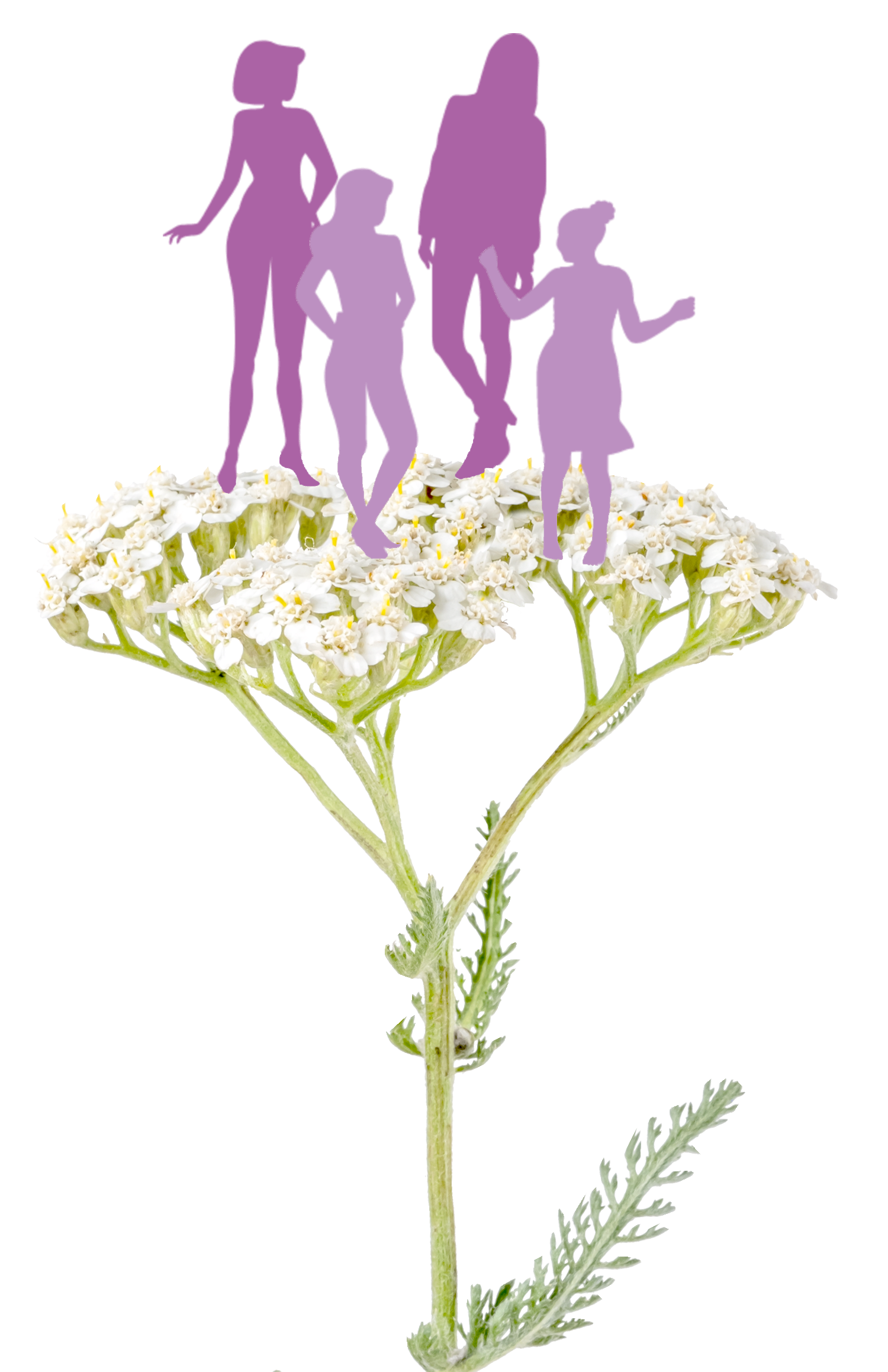 Menolind-Woman-Group_2025