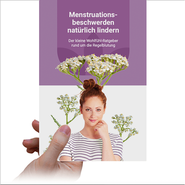 menstruationsbeschwerden-ratgeber_2025